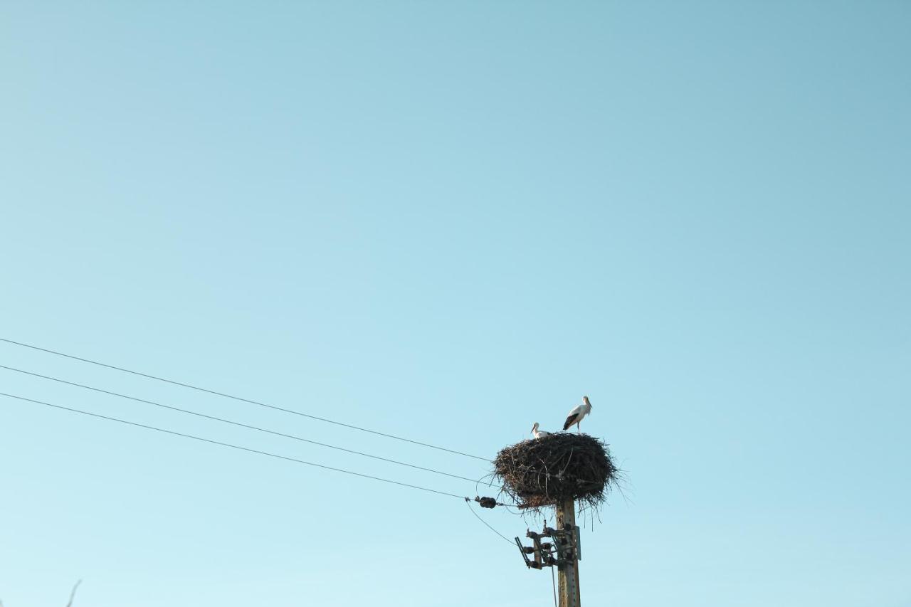 A.Ti.Tudo Nature Portimão Dış mekan fotoğraf